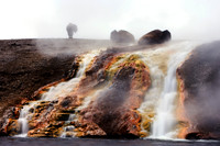 buffalo,Yellowstone,photography,wildlife,stadsklev,"hot springs",water,fog,bison