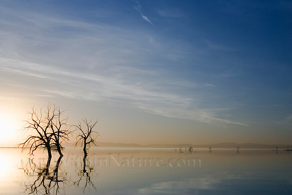 1245 Salton Sea Blue