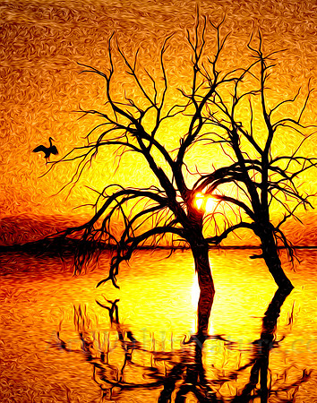 1264 Crane Sunset Salton Sea