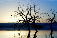 1284 Salton Sea