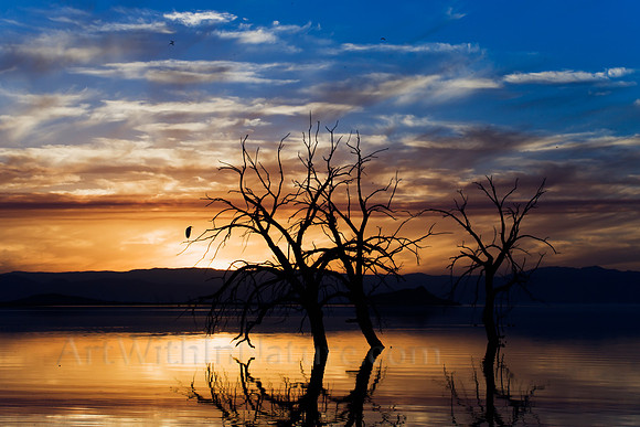 1942 Salton Sea Sunset
