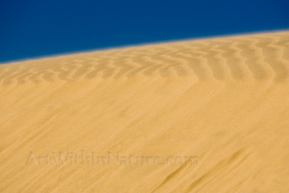 2419 Dune wind and slide