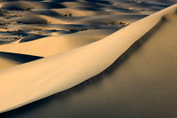 2663 Field of Dunes