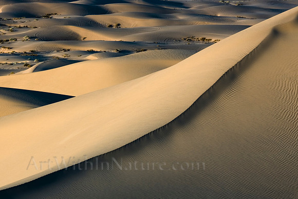 2663 Field of Dunes