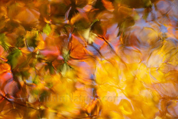 Reflections on Fall #1