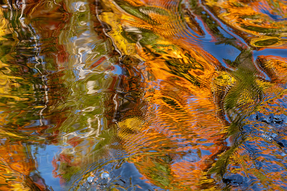 Reflections on Fall #4