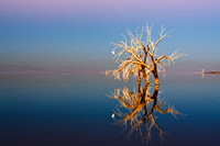 Salton Sea Sunrise