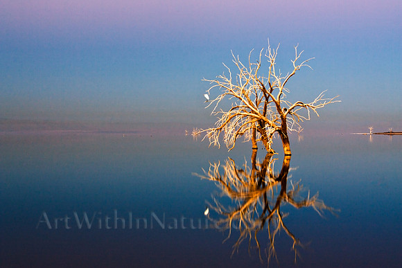 Salton Sea Sunrise