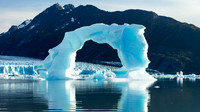 Emphemeral Arch
