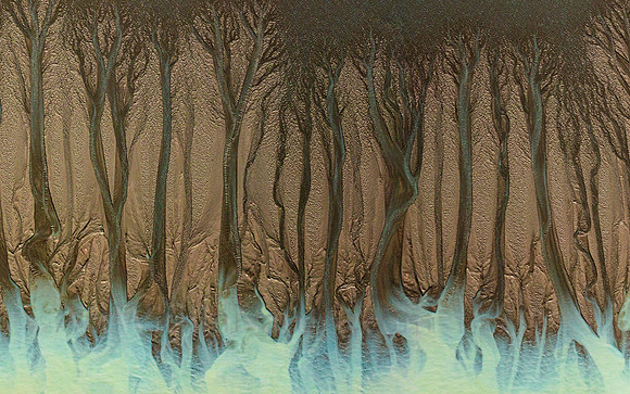 Tidal Fractals