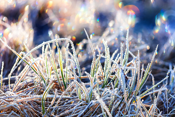 The Colors of Frost
