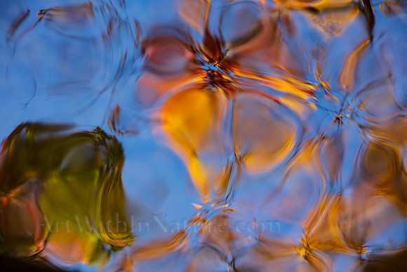 Reflections on Fall #2