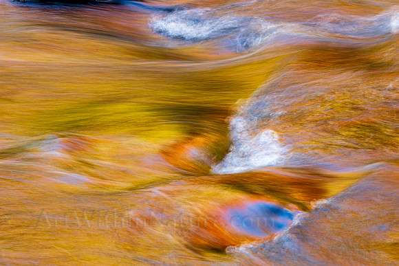 Reflections on Fall #6