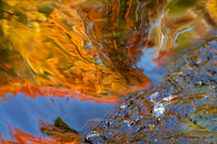 Reflections on Fall #5