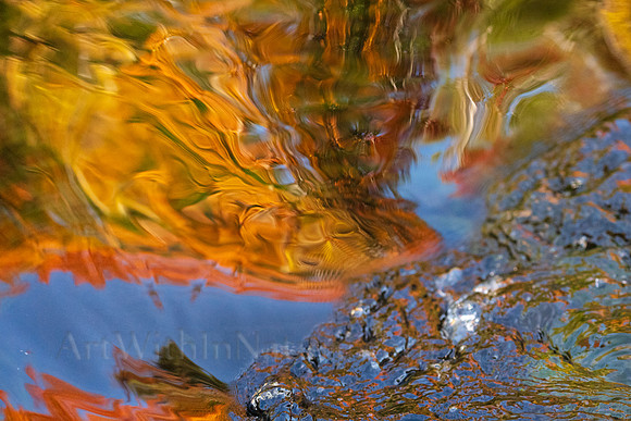 Reflections on Fall #5