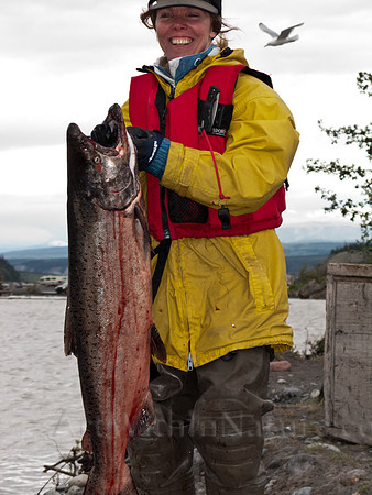 Caught in Alaska