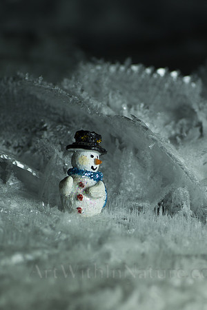 Mister Frosty