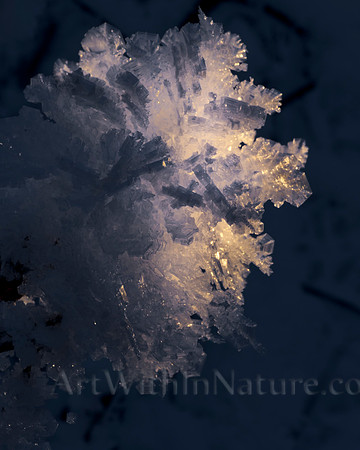 Hoar Frost