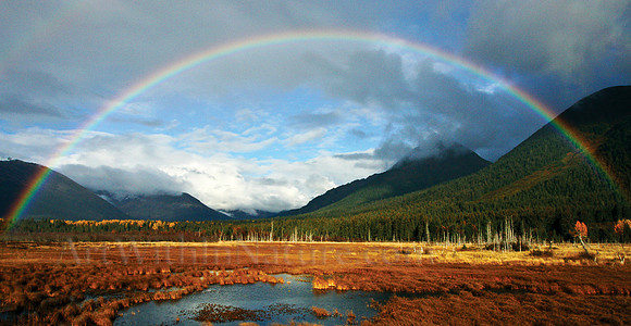 Virgin Creek Rainbow