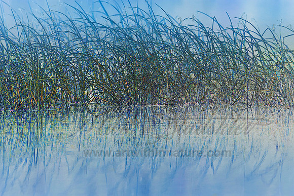 Interpreting the Pond series, one, 8685